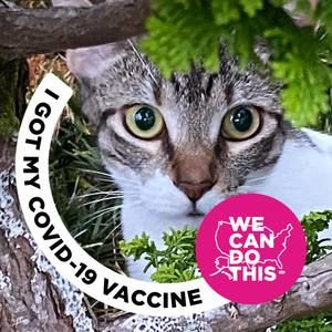 Meet your Posher, Maxine